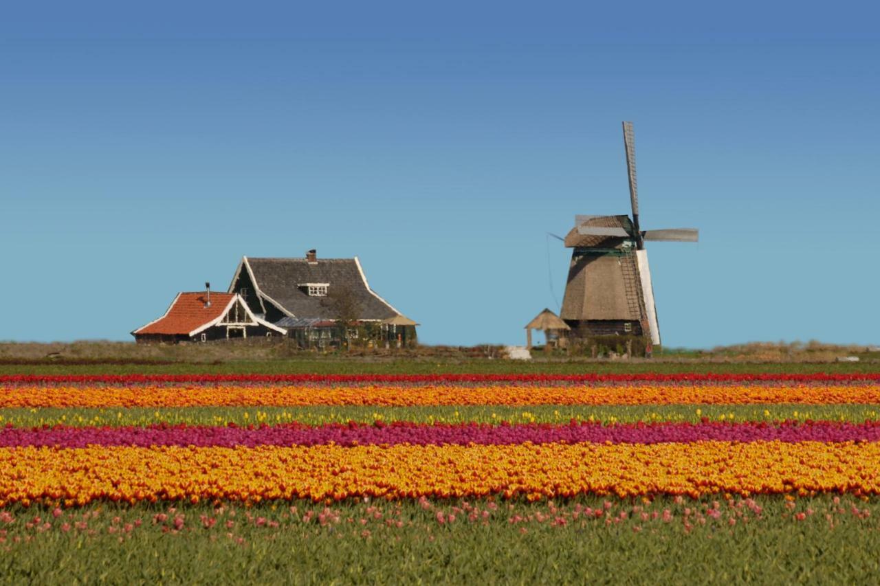 Het Dobbertje, Charmant Houten Huisje Sint Maartensvlotbrug Eksteriør billede
