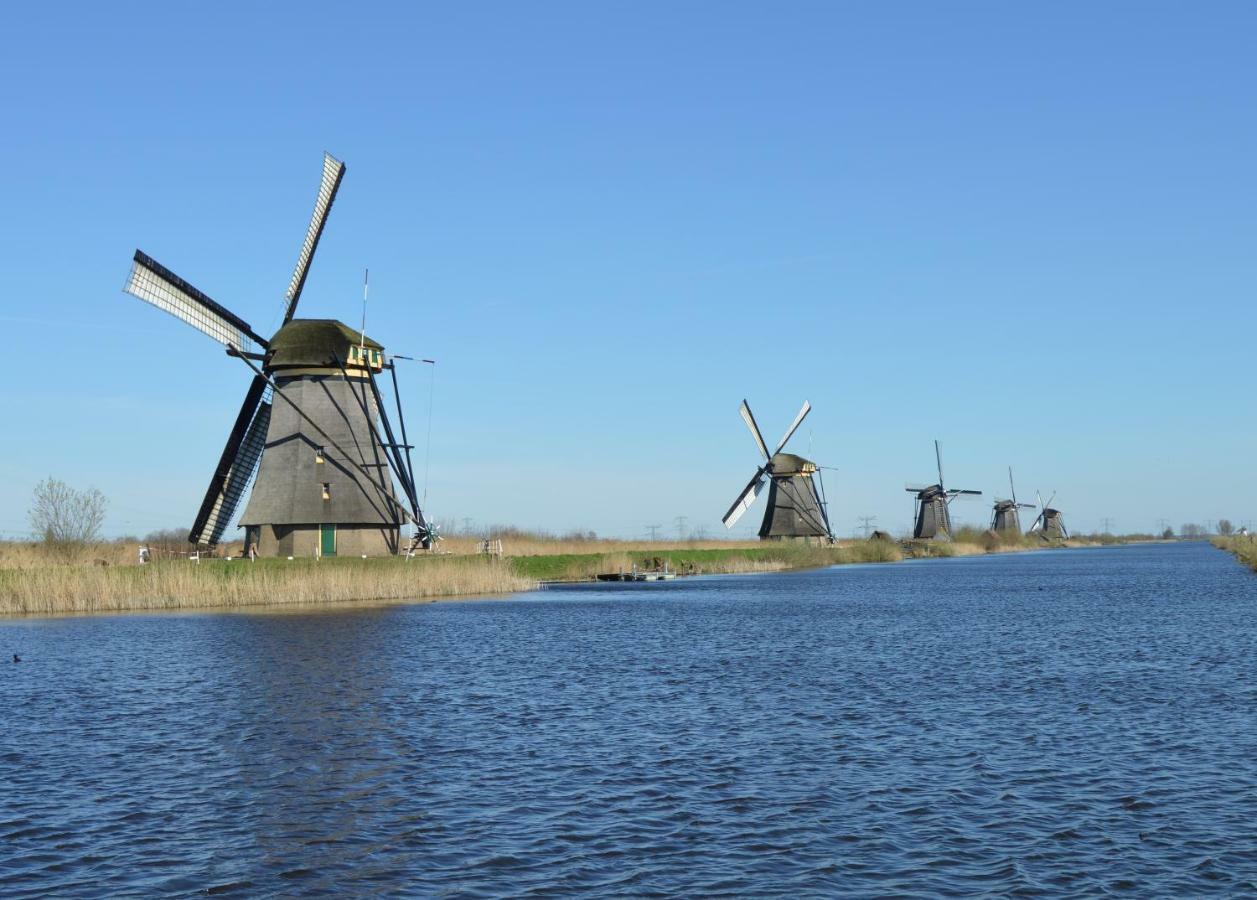 Het Dobbertje, Charmant Houten Huisje Sint Maartensvlotbrug Eksteriør billede